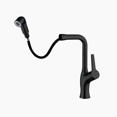 Metora Single-Hole Rotatable and Pull-Out Faucet-BF2205