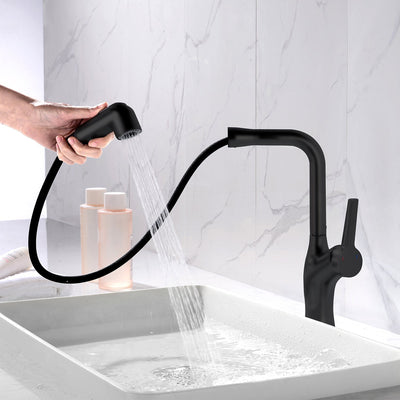 Metora Single-Hole Rotatable and Pull-Out Faucet-BF2205