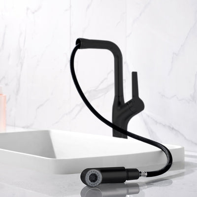 Metora Single-Hole Rotatable and Pull-Out Faucet-BF2205