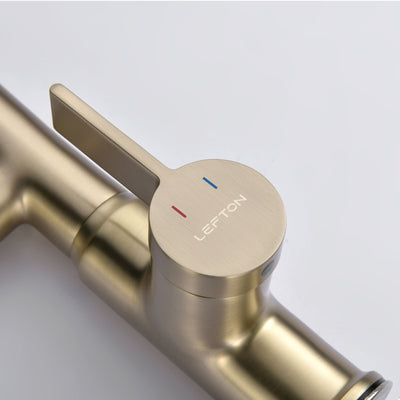 Metora Single-Hole Rotatable Faucet with Temperature Display-BF2204