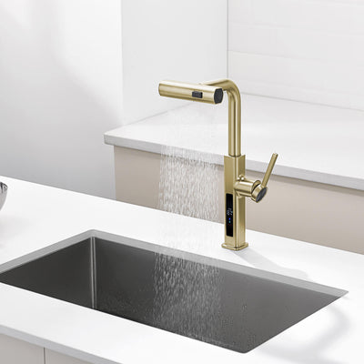 Metora Waterfall & Pull-Out Kitchen Faucet with Temperature Display-KF2209