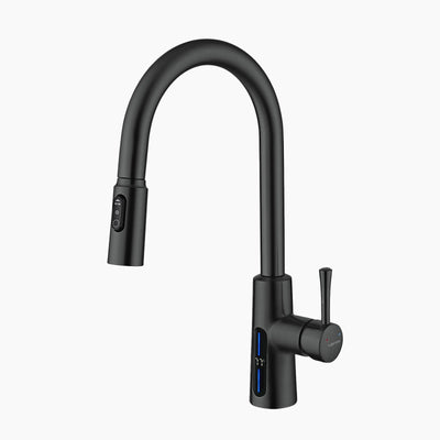 Metora Modern Pull-Down Kitchen Faucet with Temperature Display-KF2501