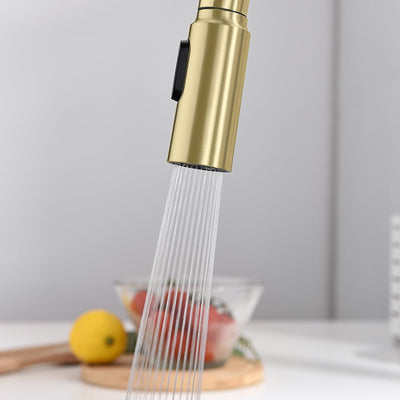 Metora Modern Pull-Down Kitchen Faucet with Temperature Display-KF2501