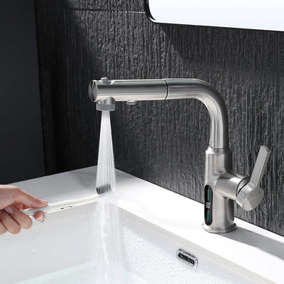 Metora Single-Hole Liftable Pull-Out Bathroom Faucet With Temperature Display-BF2501