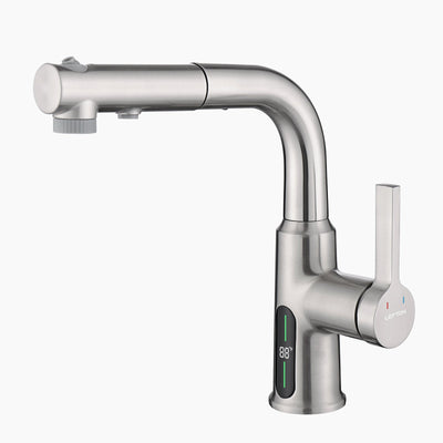 Metora Single-Hole Liftable Pull-Out Bathroom Faucet With Temperature Display-BF2501