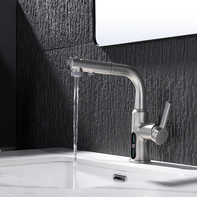 Metora Single-Hole Liftable Pull-Out Bathroom Faucet With Temperature Display-BF2501