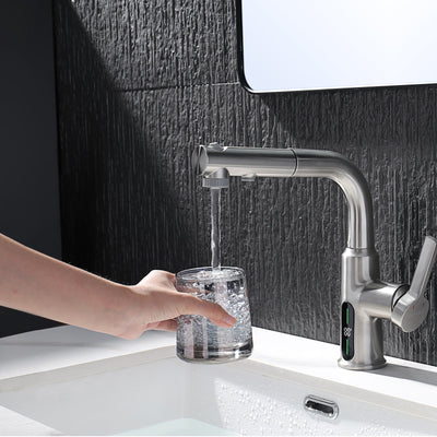 Metora Single-Hole Liftable Pull-Out Bathroom Faucet With Temperature Display-BF2501