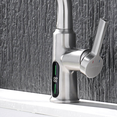 Metora Single-Hole Liftable Pull-Out Bathroom Faucet With Temperature Display-BF2501