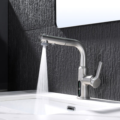 Metora Single-Hole Liftable Pull-Out Bathroom Faucet With Temperature Display-BF2501