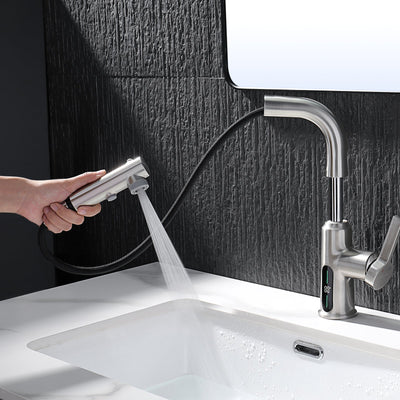 Metora Single-Hole Liftable Pull-Out Bathroom Faucet With Temperature Display-BF2501
