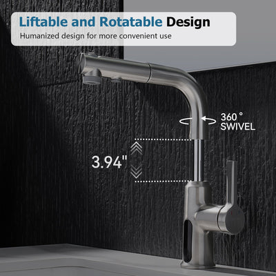 Metora Single-Hole Liftable Pull-Out Bathroom Faucet With Temperature Display-BF2501
