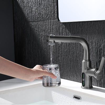Metora Single-Hole Liftable Pull-Out Bathroom Faucet With Temperature Display-BF2501