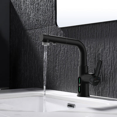 Metora Single-Hole Liftable Pull-Out Bathroom Faucet With Temperature Display-BF2501