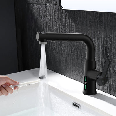 Metora Single-Hole Liftable Pull-Out Bathroom Faucet With Temperature Display-BF2501