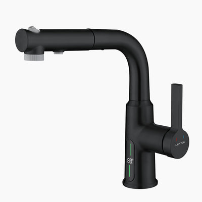 Metora Single-Hole Liftable Pull-Out Bathroom Faucet With Temperature Display-BF2501