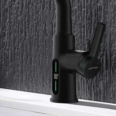 Metora Single-Hole Liftable Pull-Out Bathroom Faucet With Temperature Display-BF2501