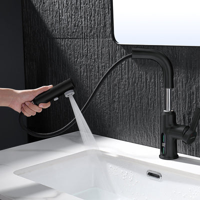 Metora Single-Hole Liftable Pull-Out Bathroom Faucet With Temperature Display-BF2501
