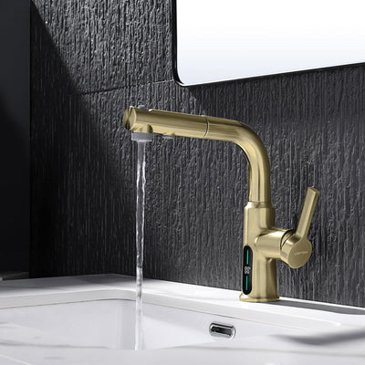 Metora Single-Hole Liftable Pull-Out Bathroom Faucet With Temperature Display-BF2501