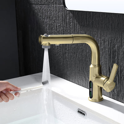 Metora Single-Hole Liftable Pull-Out Bathroom Faucet With Temperature Display-BF2501