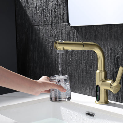 Metora Single-Hole Liftable Pull-Out Bathroom Faucet With Temperature Display-BF2501