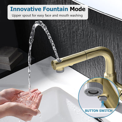 Metora Single-Hole Liftable Pull-Out Bathroom Faucet With Temperature Display-BF2501