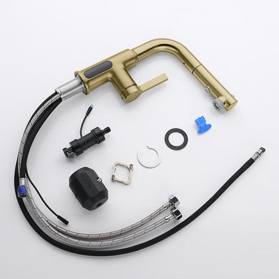 Metora Single-Hole Liftable Pull-Out Bathroom Faucet With Temperature Display-BF2501