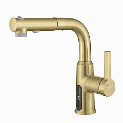 Metora Single-Hole Liftable Pull-Out Bathroom Faucet With Temperature Display-BF2501