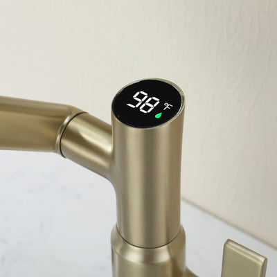 Metora Single-Hole Rotatable Faucet with Temperature Display-BF2204