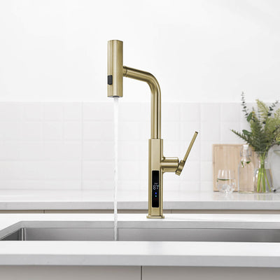Metora Waterfall & Pull-Out Kitchen Faucet with Temperature Display-KF2209